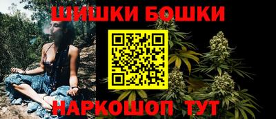 индика Гай