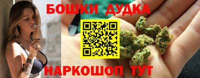 индика Гай