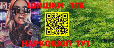 индика Гай