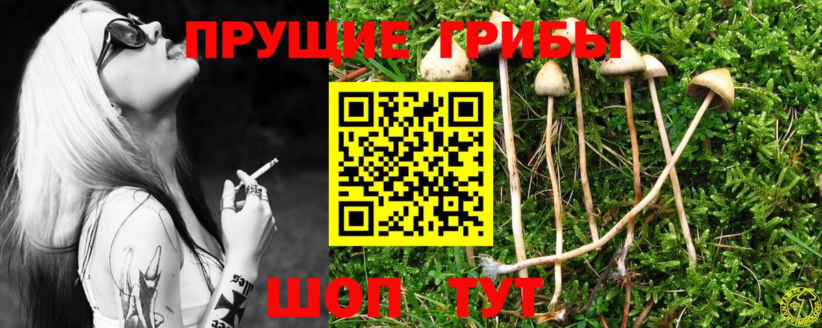 Псилоцибиновые грибы Psilocybine cubensis  Вход с VPN  Нововоронеж 