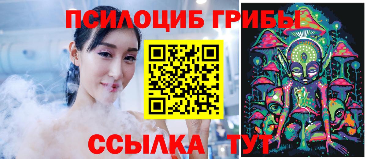 Псилоцибиновые грибы мицелий Нововоронеж